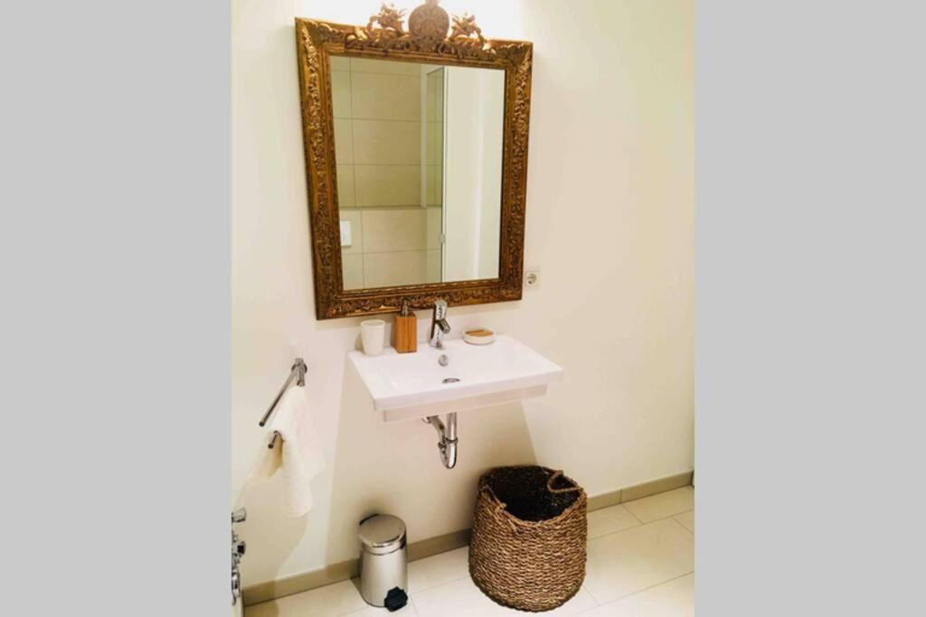 Large Family Retro Flat In City Center- Large Terrace & Garden View, Free Parking ลักเซมเบิร์ก ภายนอก รูปภาพ