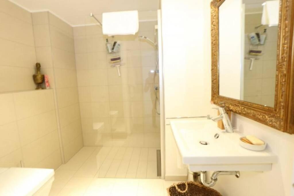 Large Family Retro Flat In City Center- Large Terrace & Garden View, Free Parking ลักเซมเบิร์ก ภายนอก รูปภาพ